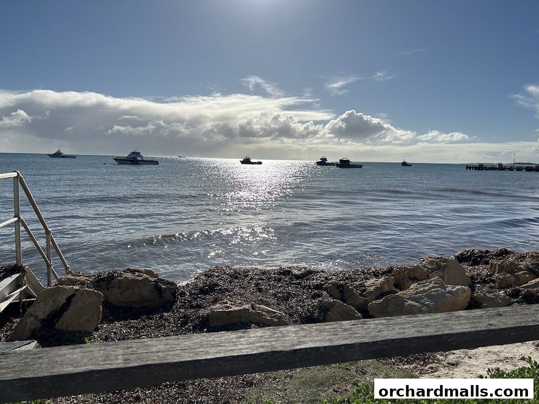 Fayyaz Travels Pte Ltd