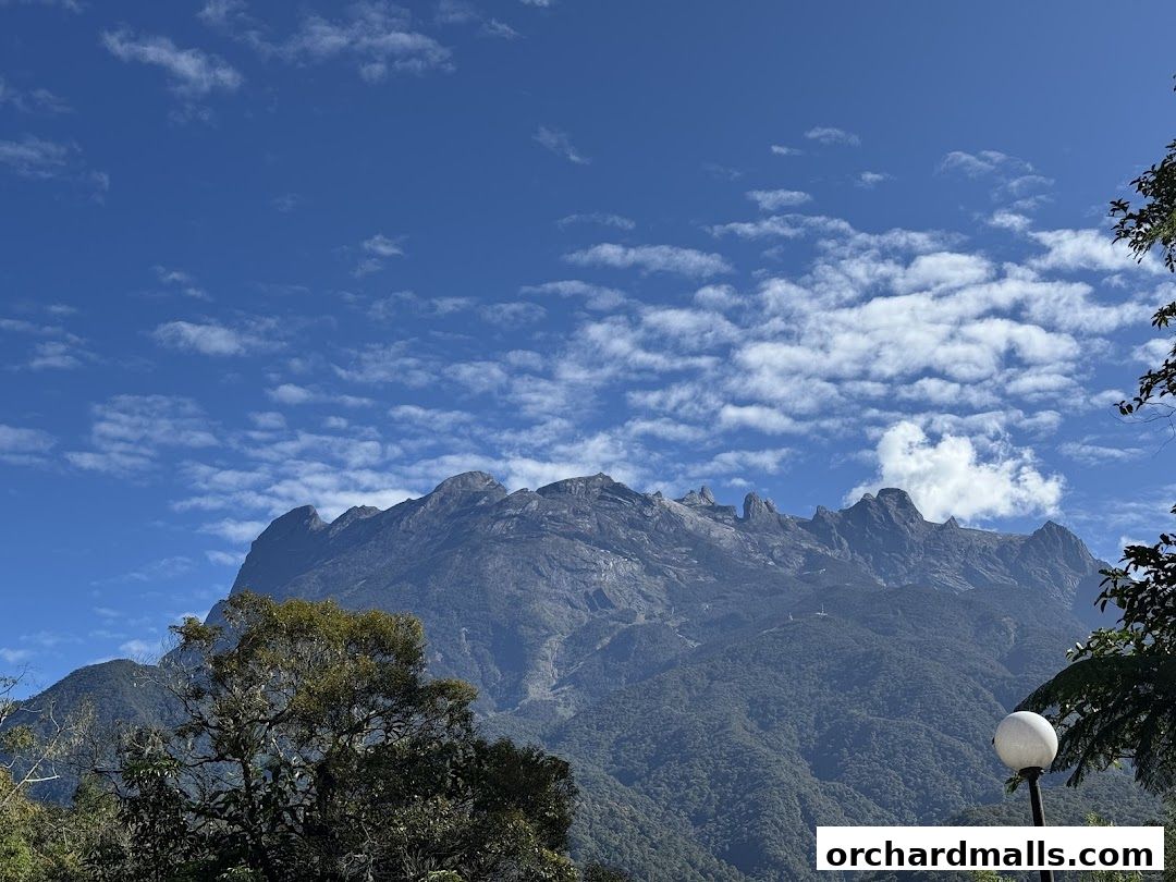 Fayyaz Travels Pte Ltd