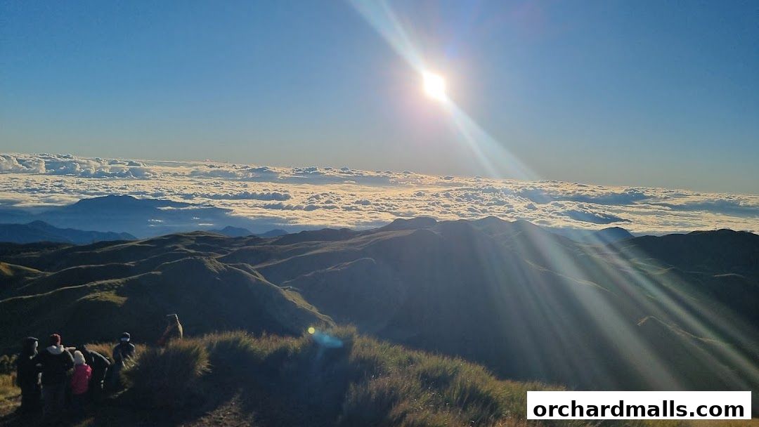 Fayyaz Travels Pte Ltd