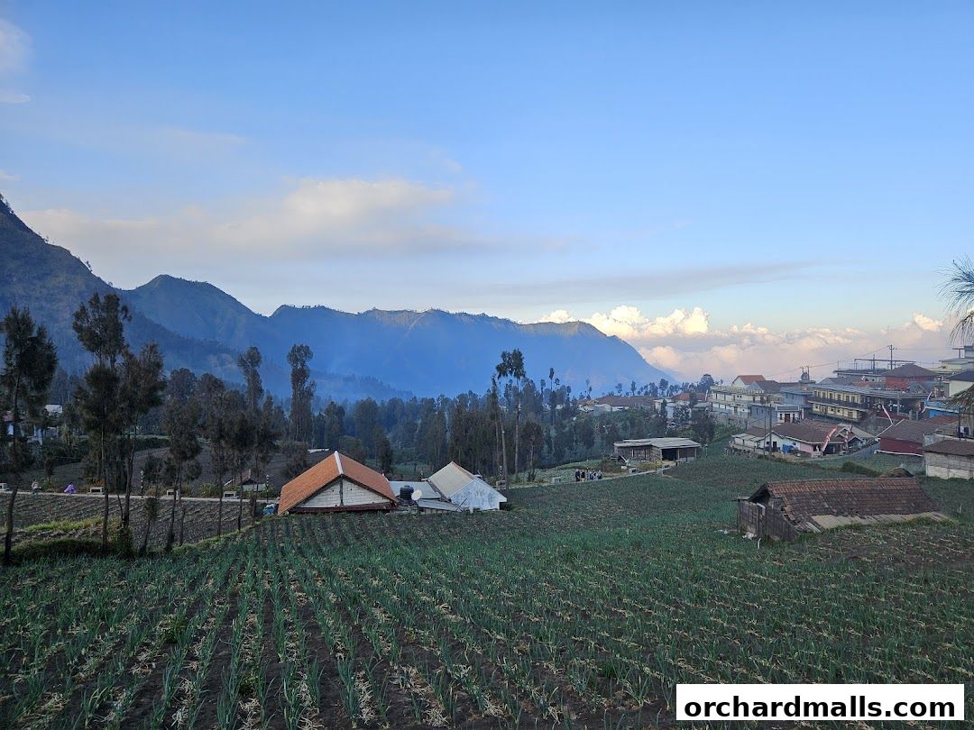 Fayyaz Travels Pte Ltd