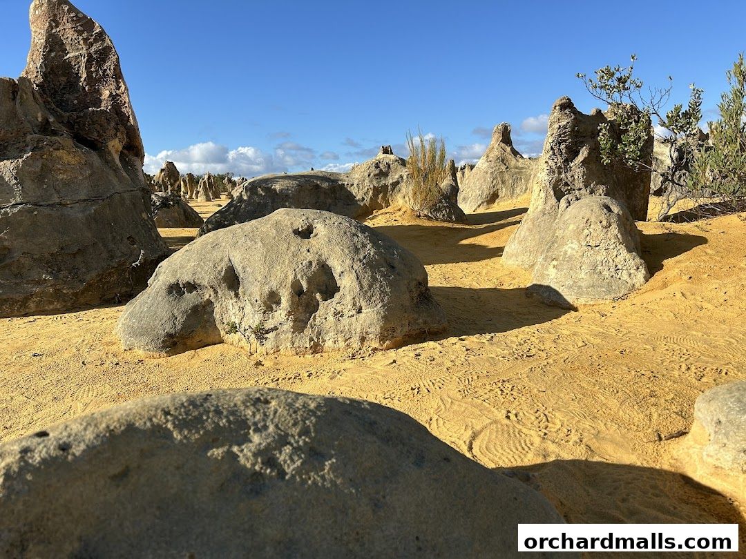 Fayyaz Travels Pte Ltd