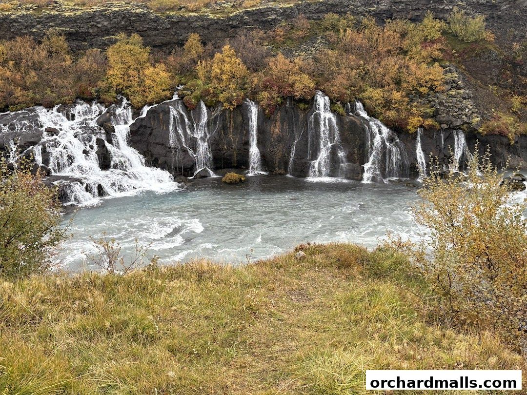 Fayyaz Travels Pte Ltd