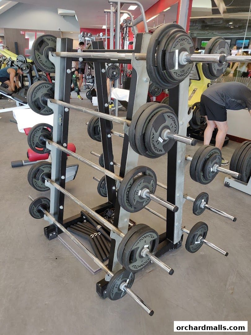 Fitness First - Paragon