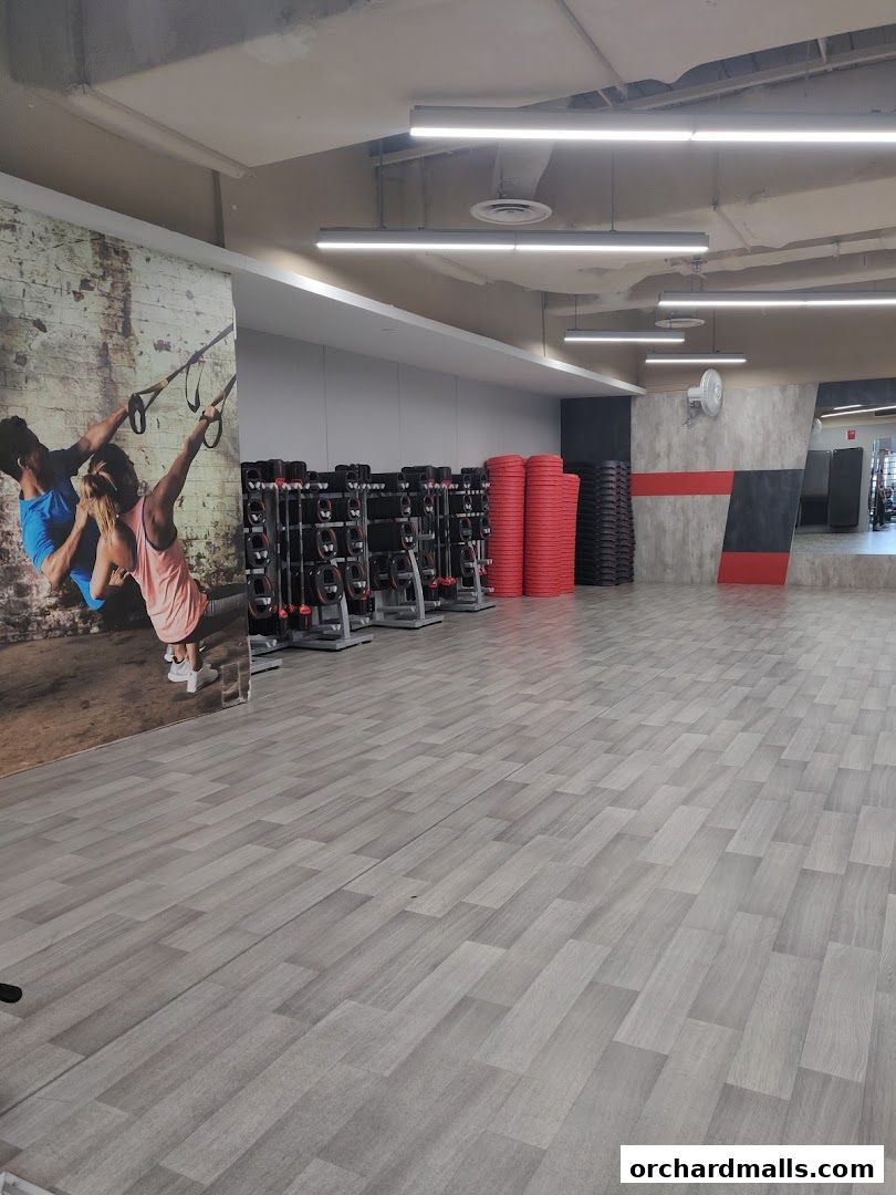 Fitness First - Paragon