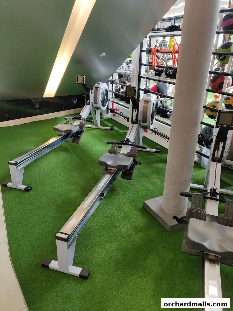 Fitness First - Paragon