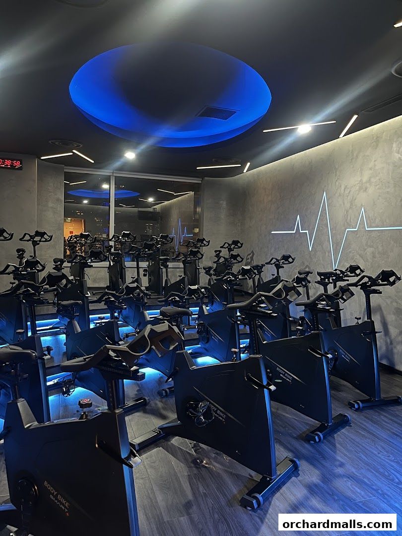 Fitness First - Paragon