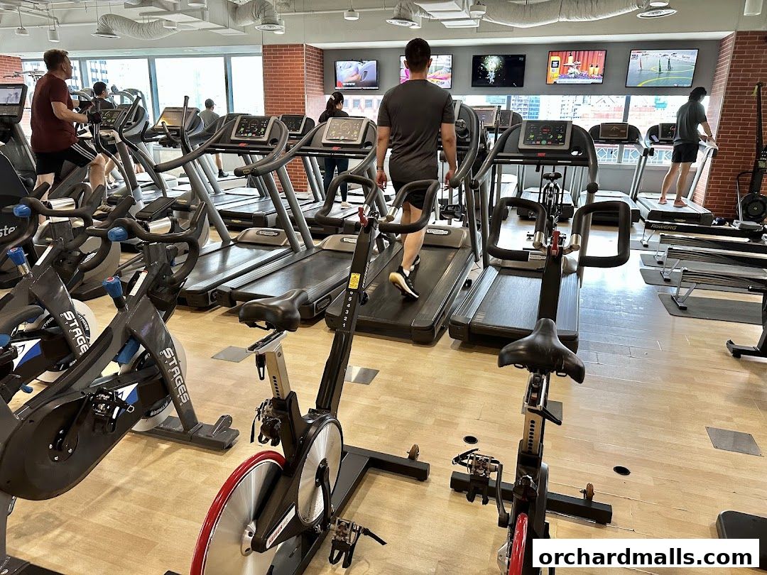 Fitness First - Paragon