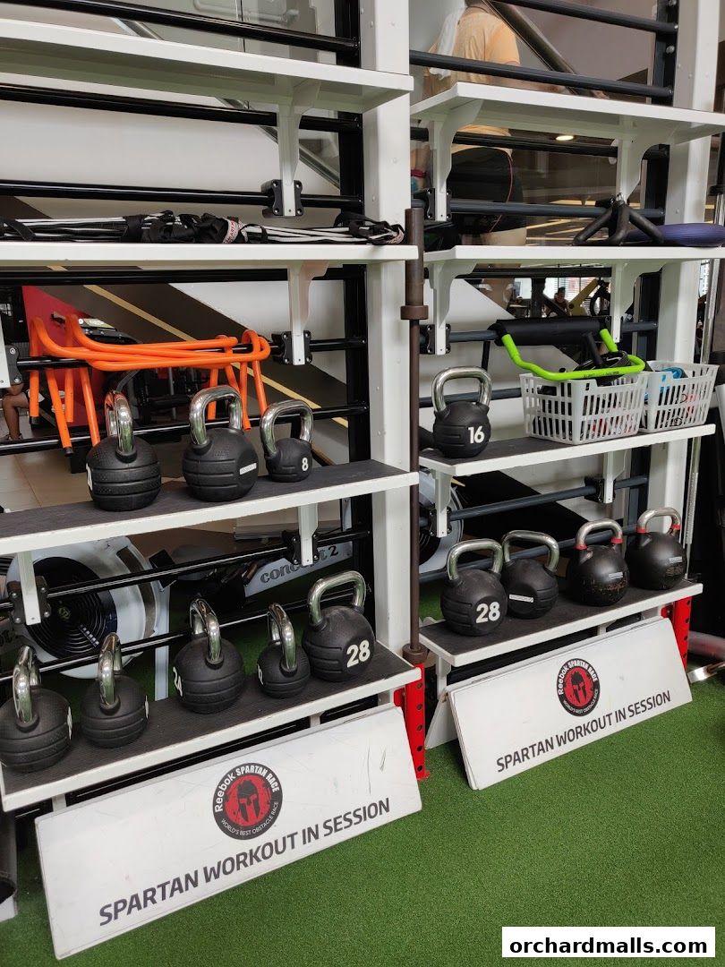 Fitness First - Paragon