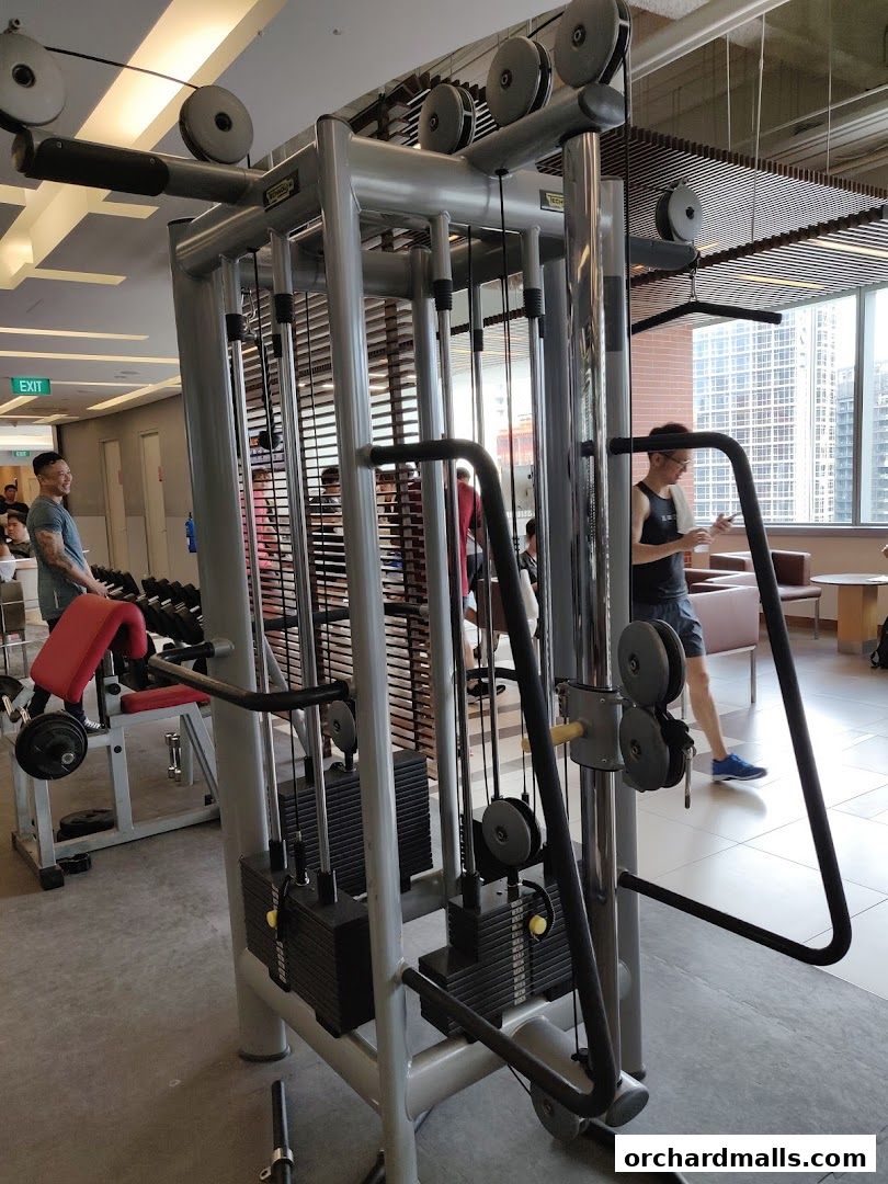 Fitness First - Paragon