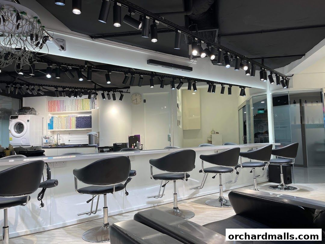 Interior of a modern hair studio with styling chairs, mirrors, and hair color swatches.