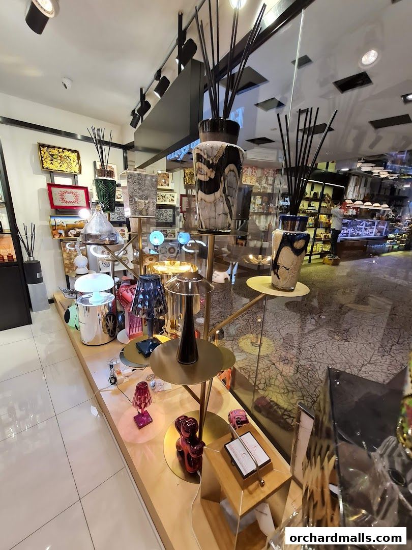 Interior view of a stylish shop displaying decorative vases, lamps, and home decor items.