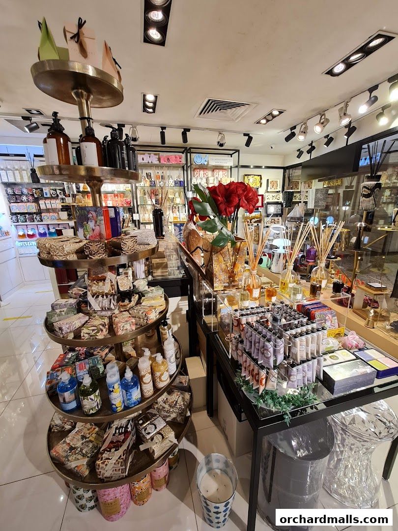 Interior view of a shop displaying various scented soaps, lotions, and diffusers.