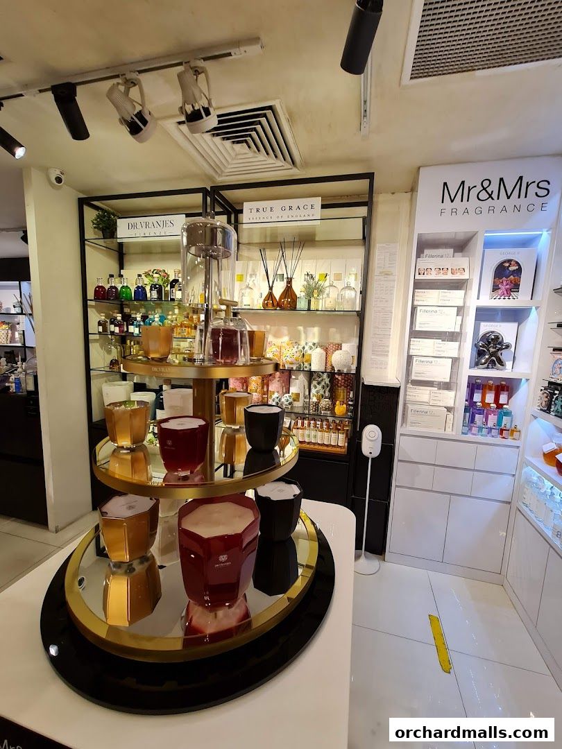 Interior view of a fragrance shop displaying candles, diffusers, and perfumes.