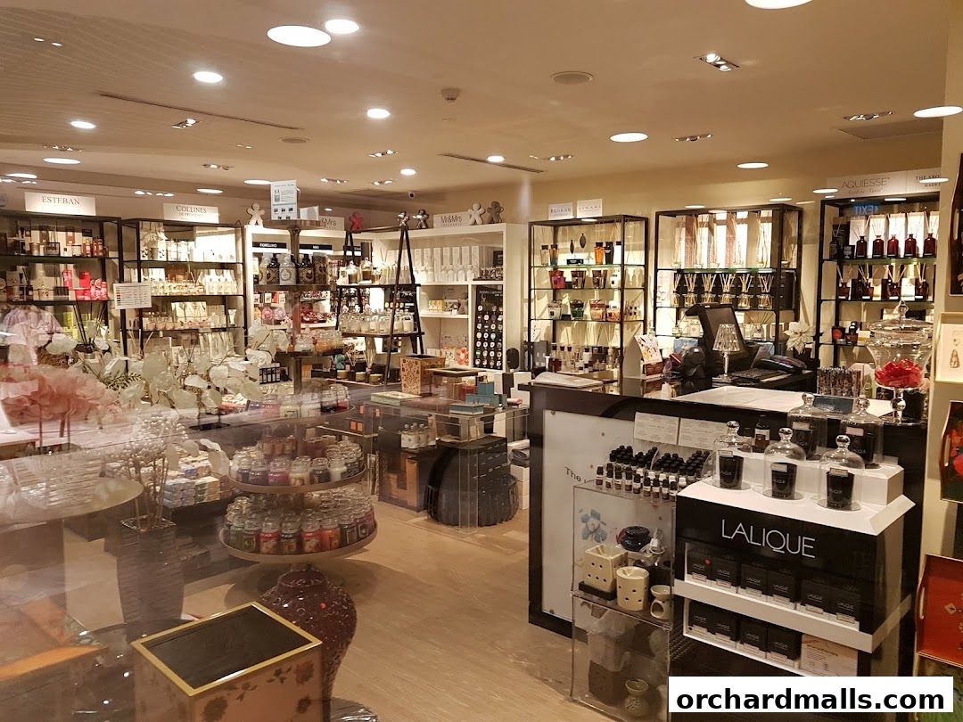 Interior view of a well-lit retail shop selling perfumes and home fragrances.