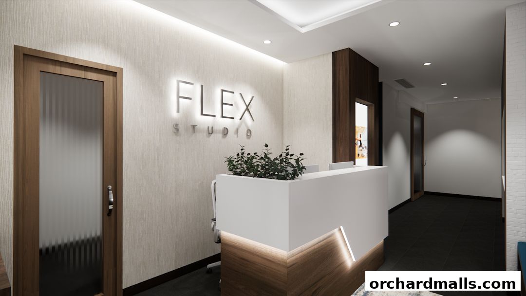 Flex Studio Singapore