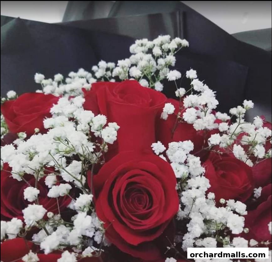 Florita.sg - Singapore Online Florist