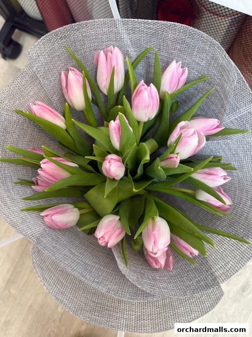 Florita.sg - Singapore Online Florist