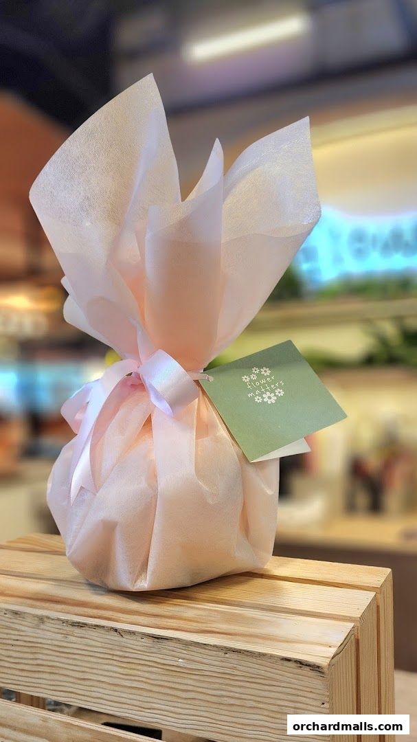 Flower Matters - Centrepoint