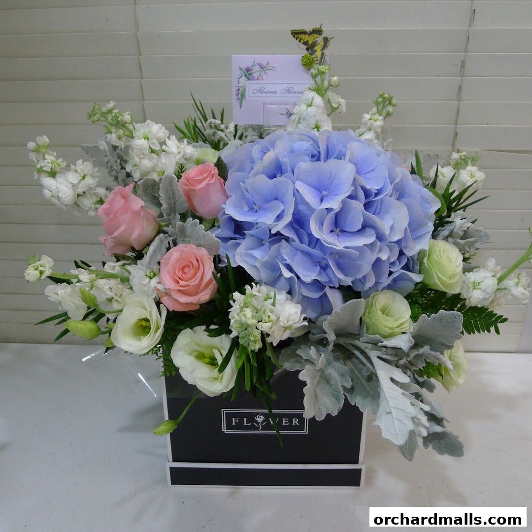 A beautiful floral arrangement in a black box with pink roses and blue hydrangeas.