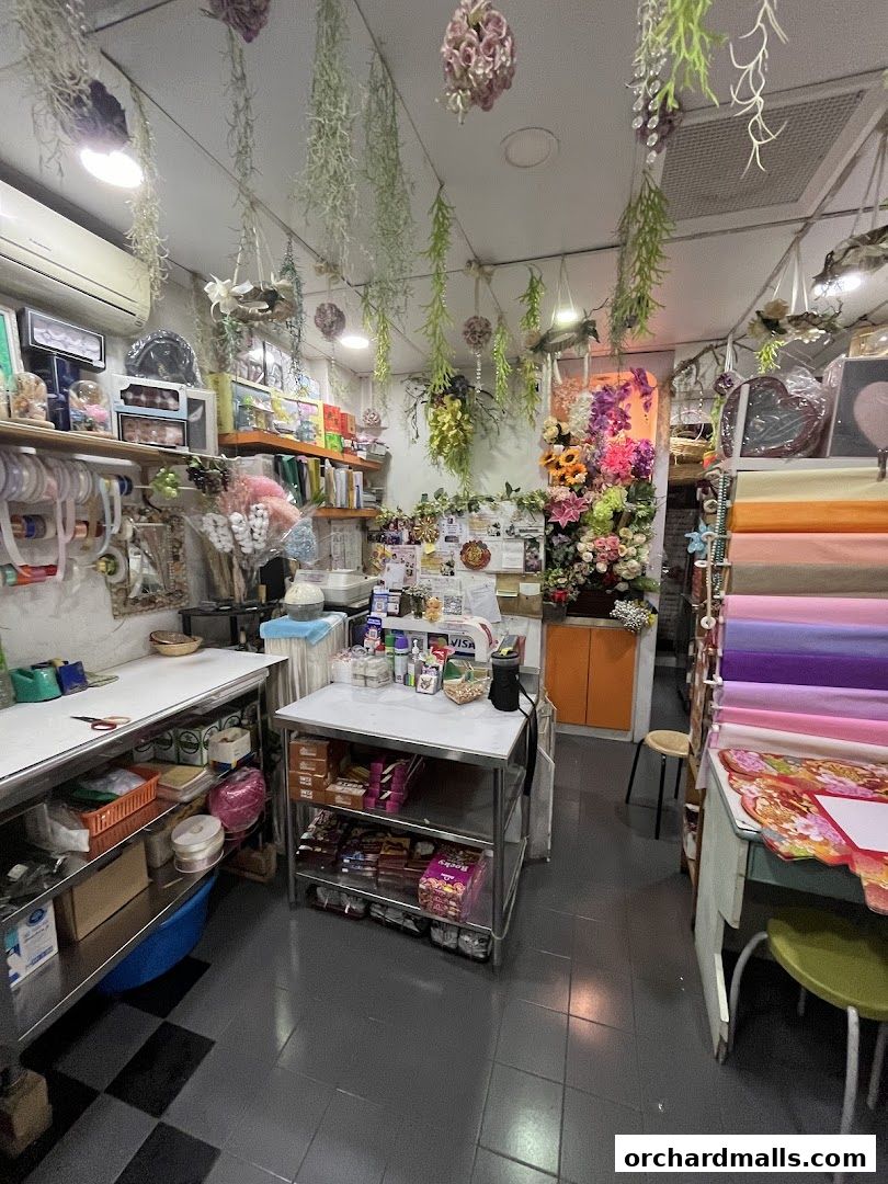 Interior of a flower shop with hanging plants, floral arrangements, and craft supplies.