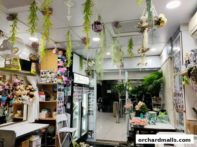 Interior of a flower shop with hanging plants, floral arrangements, and various decorative items.