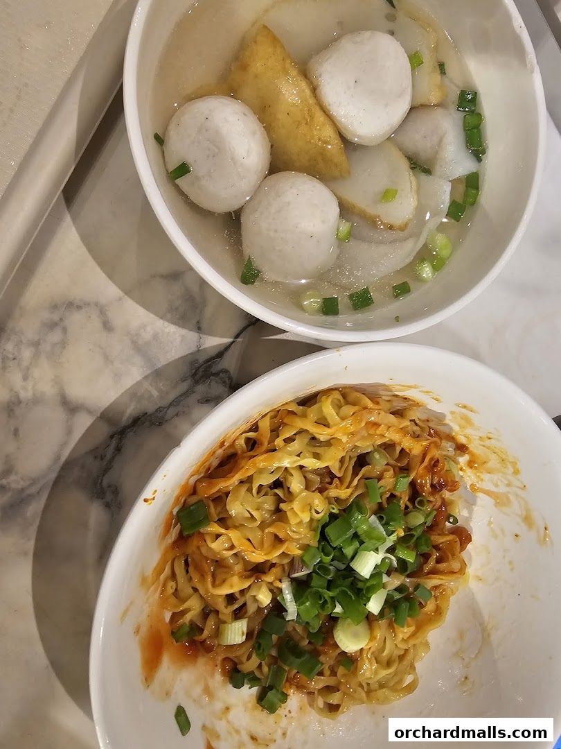 Two bowls of Asian noodles and soup with fish balls and scallions.