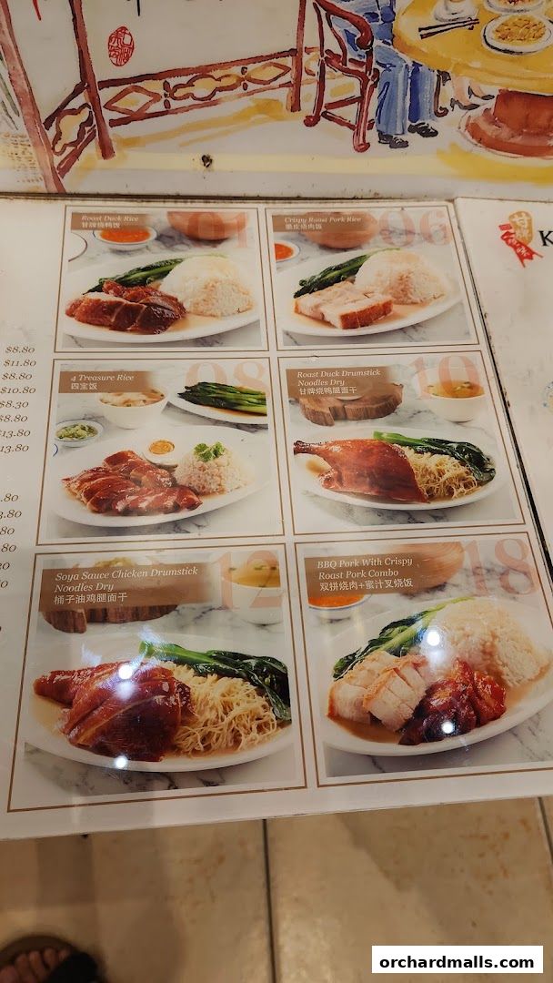A menu featuring various rice and noodle dishes with meat.