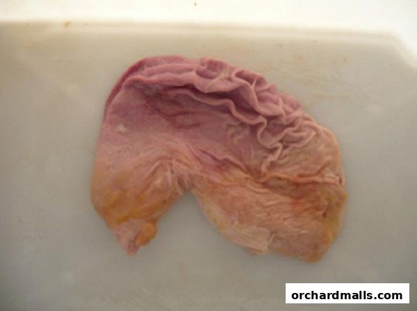 FoodCom Singapore Pte. Ltd.