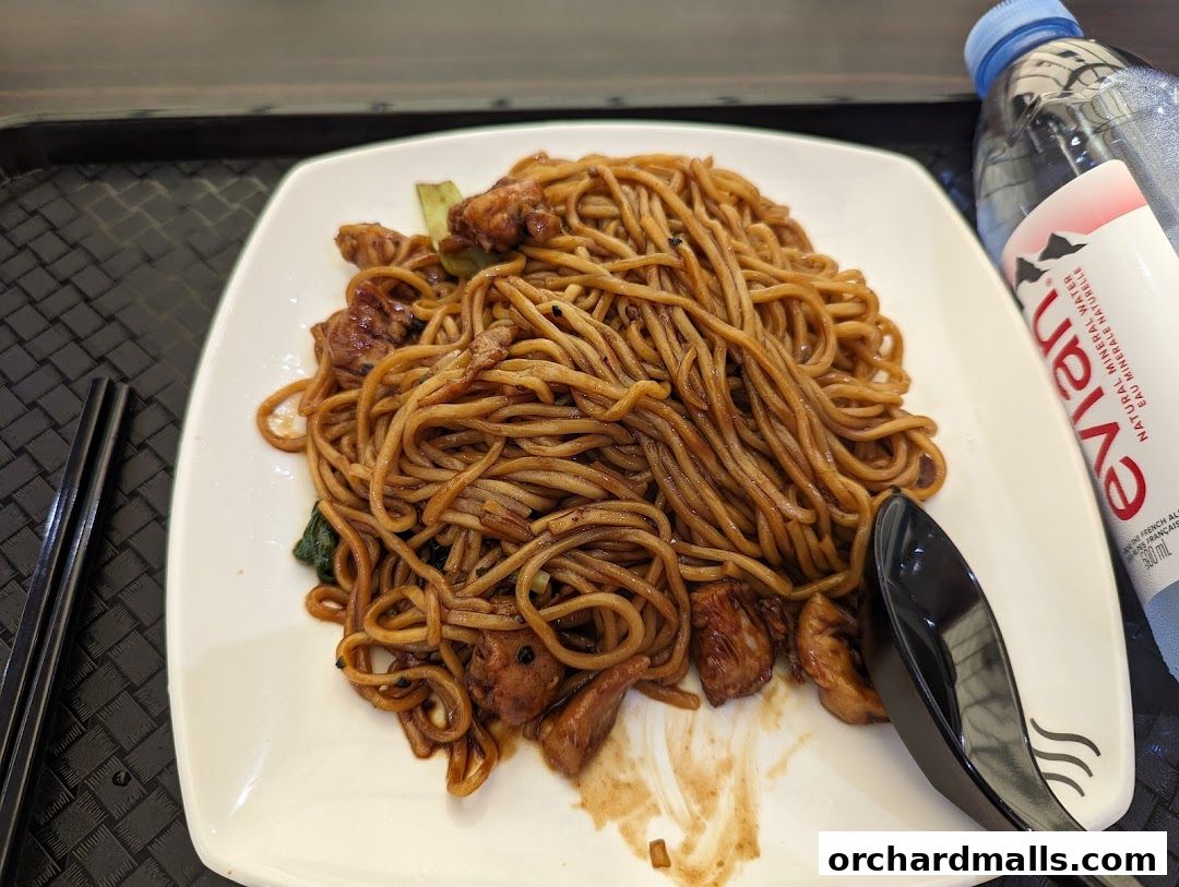 Formosa Delights Handmade Noodles 清香館 刀削麺