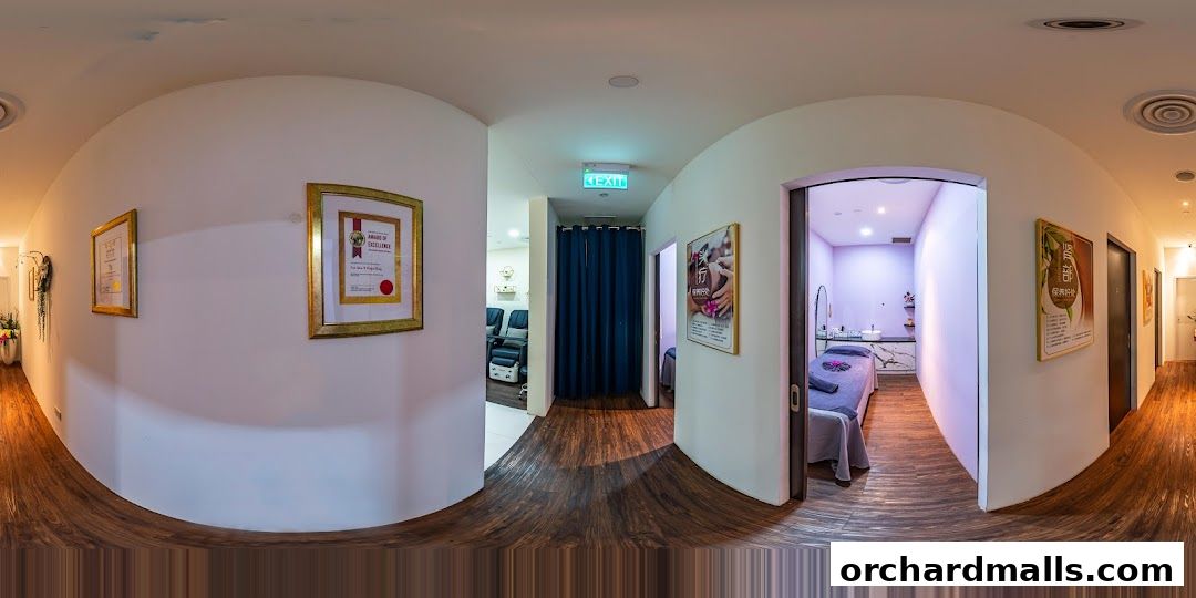 Free Skin  Body Perfect 元气美研