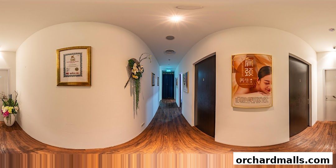 Free Skin  Body Perfect 元气美研