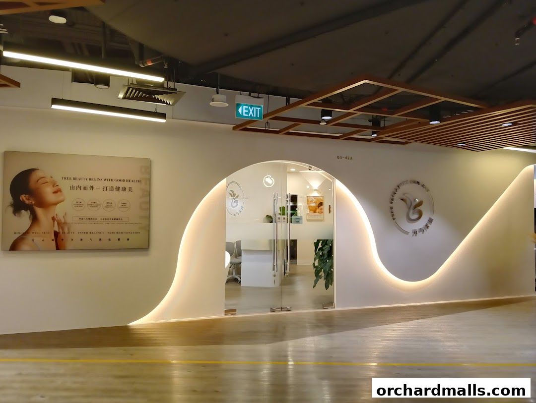 Free Skin  Body Perfect 元气美研