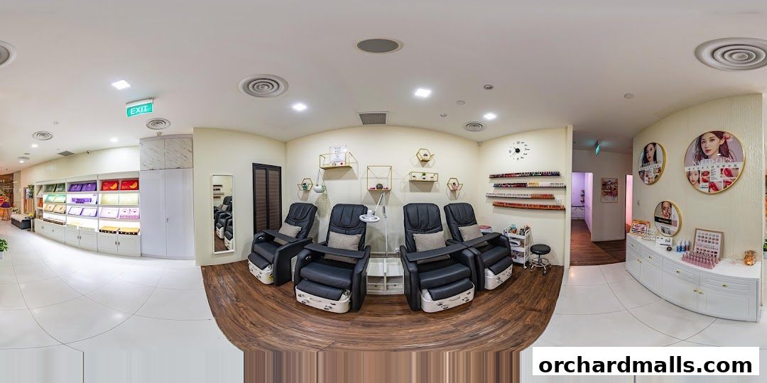 Free Skin  Body Perfect 元气美研