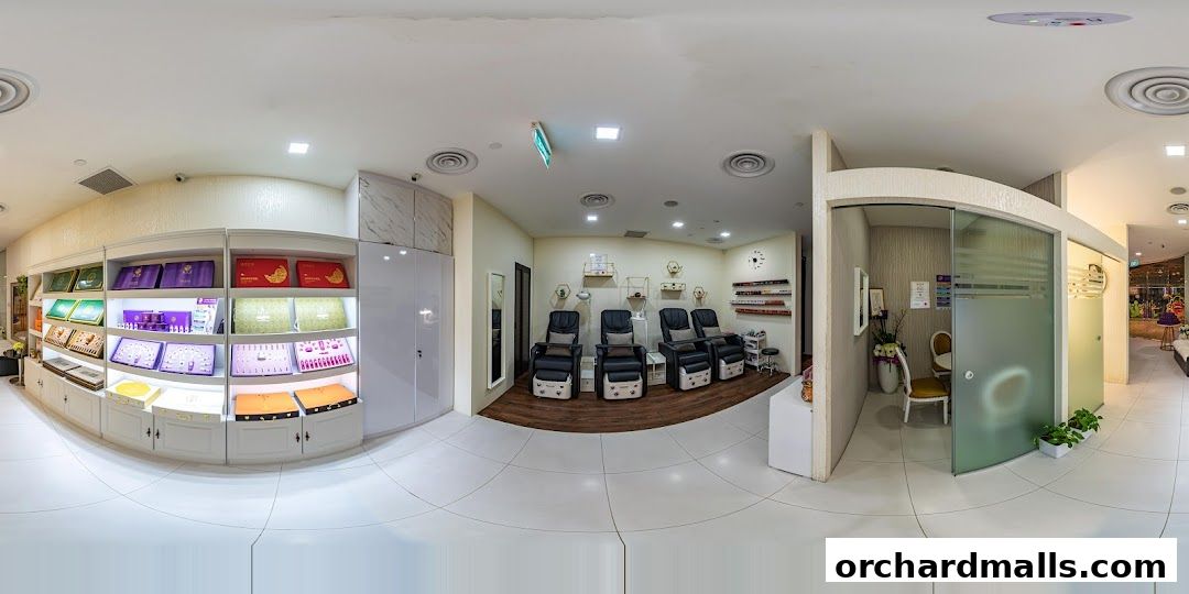 Free Skin  Body Perfect 元气美研