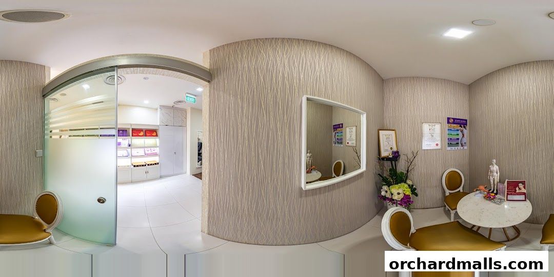 Free Skin  Body Perfect 元气美研