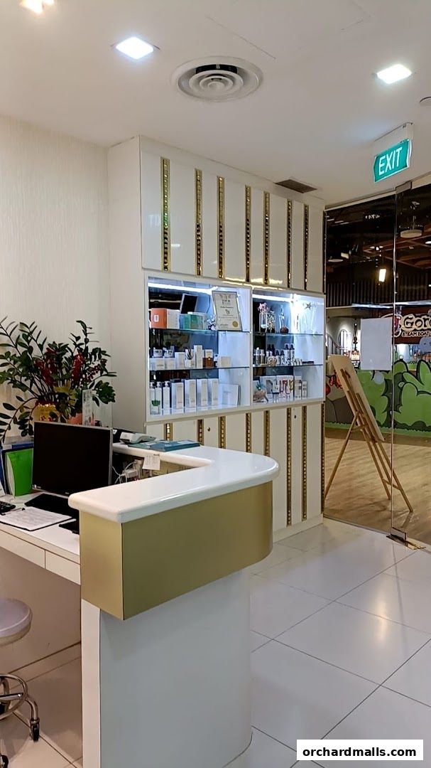 Free Skin  Body Perfect 元气美研