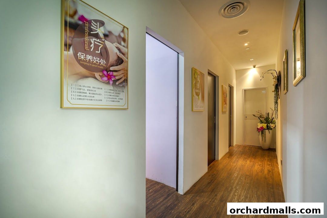 Free Skin  Body Perfect 元气美研