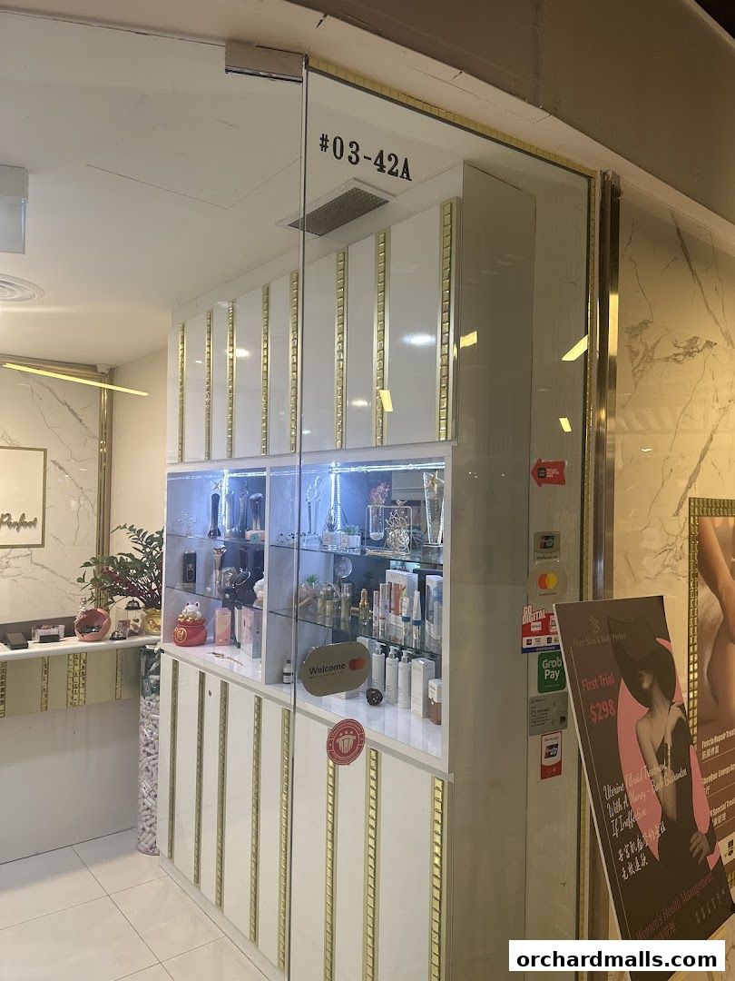 Free Skin  Body Perfect 元气美研