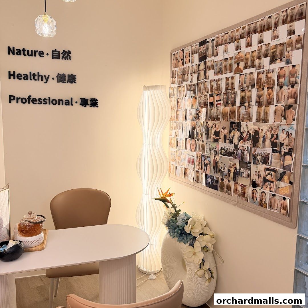 Free Skin  Body Perfect 元气美研