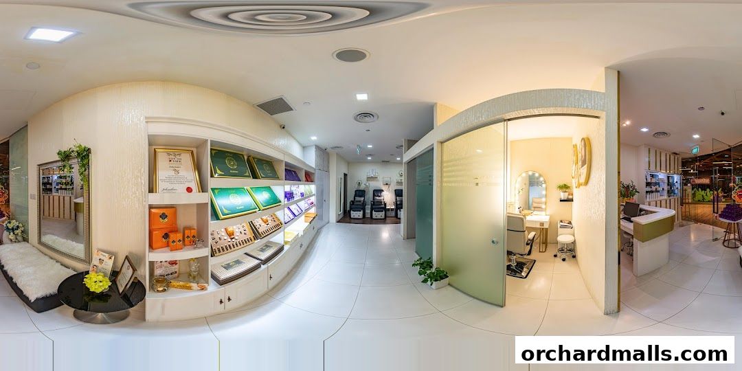 Free Skin  Body Perfect 元气美研