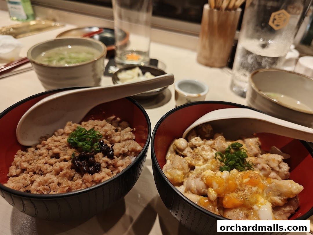 Two bowls of Japanese rice bowls with meat and egg, served with soup.