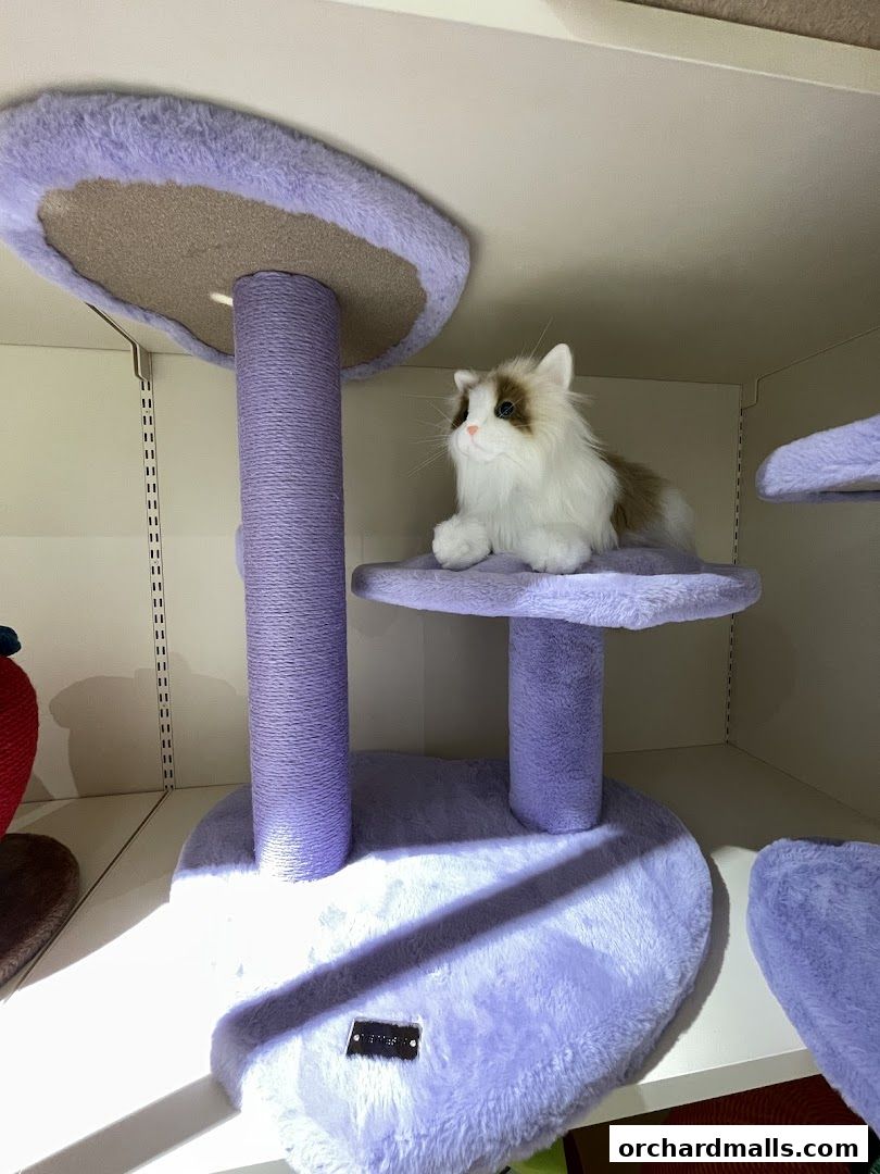 FUR A Vetreska Pet Store The Cathay store