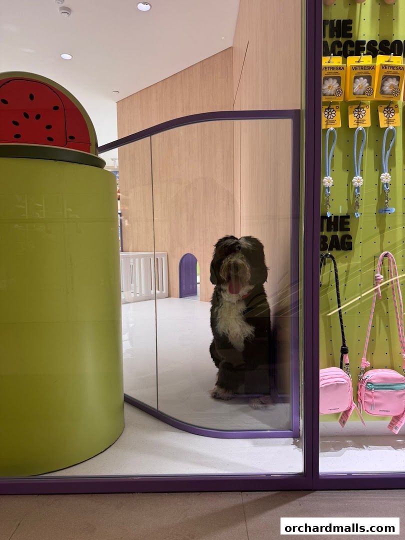 FUR A Vetreska Pet Store The Cathay store