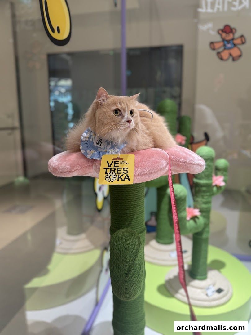 FUR A Vetreska Pet Store The Cathay store