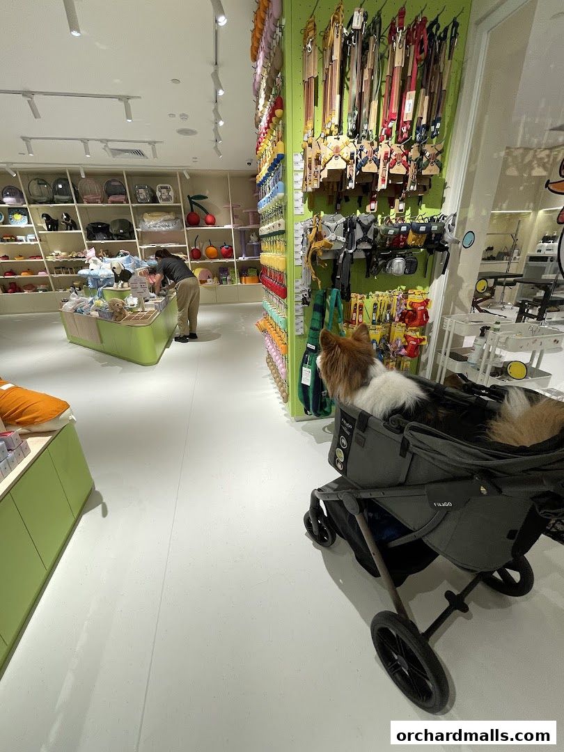 FUR A Vetreska Pet Store The Cathay store