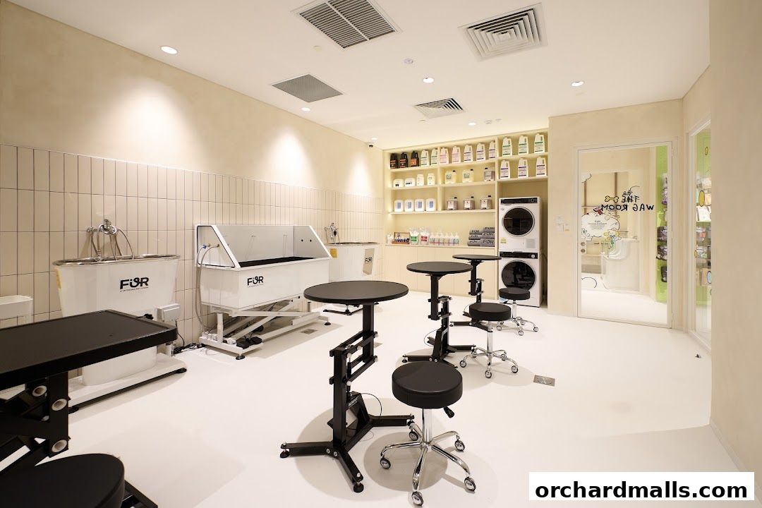 FUR A Vetreska Pet Store The Cathay store