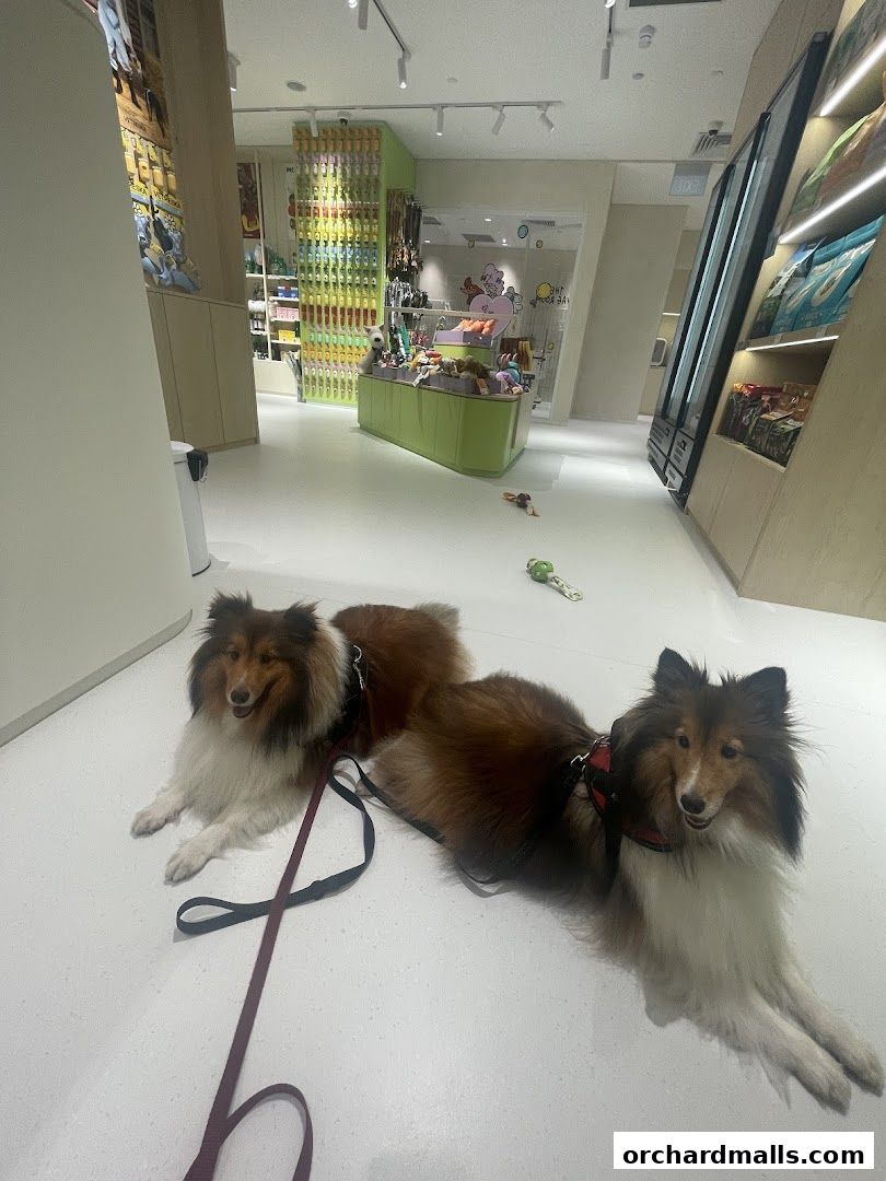 FUR A Vetreska Pet Store The Cathay store