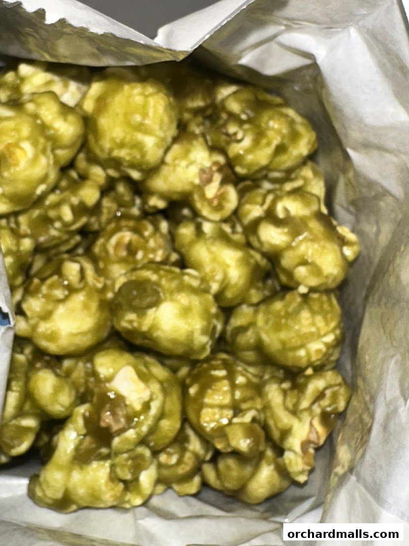 Garrett Popcorn Shops - 313 Somerset