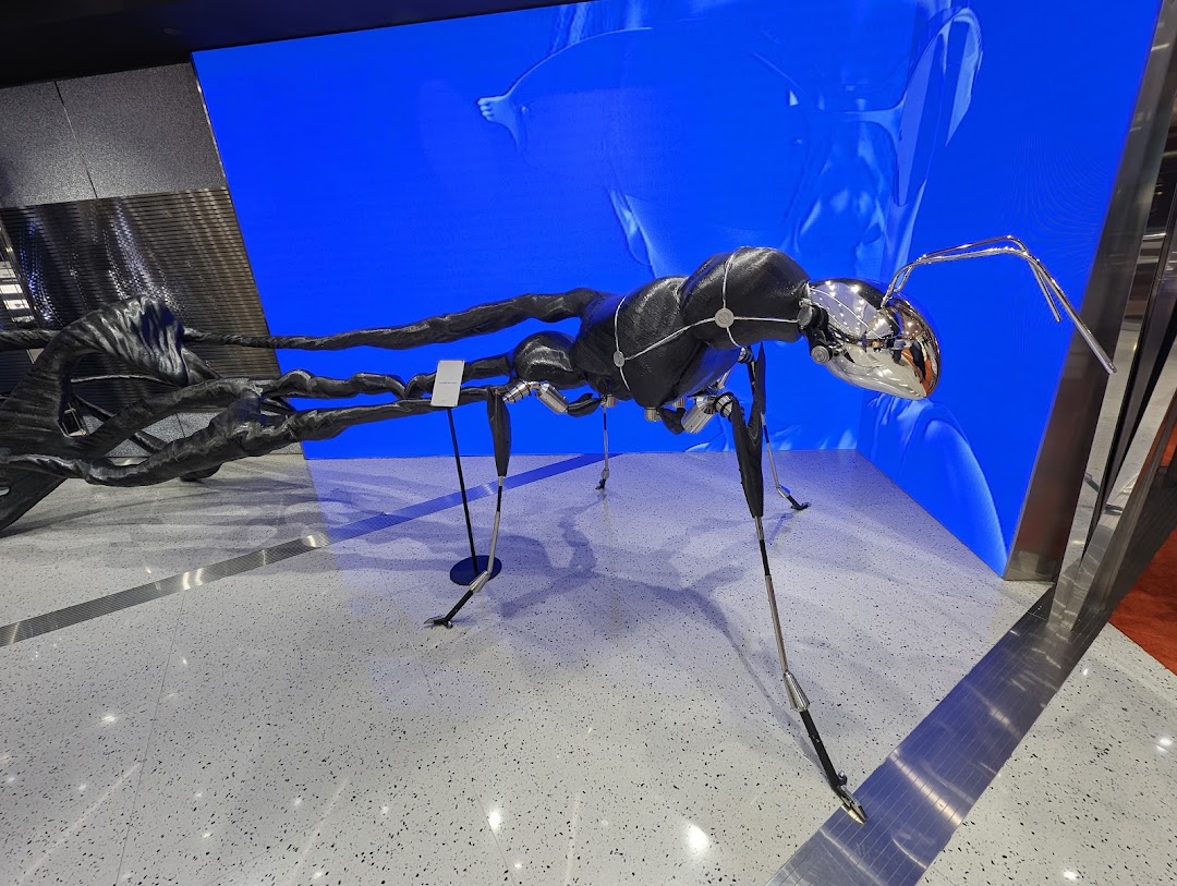 Gentle Monster ION Orchard