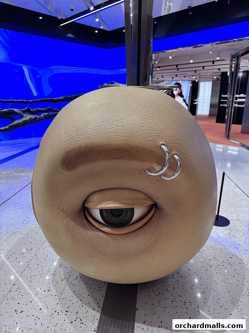 A large, spherical art installation with a realistic eye and eyebrow inside a Gentle Monster store.